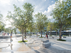 KC大叔采集到公园