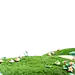 采集图片
