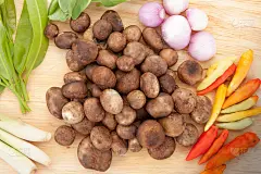 泰国泡芙球蘑菇汤配罗望子叶，晴雨表地球星，吸湿地球星，假地球星，蘑菇