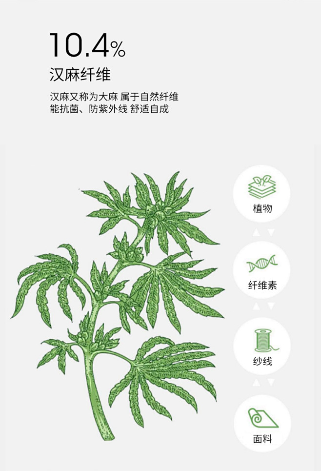 汉麻 (790×1159)