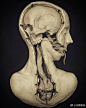 【艺术家 Emil Melmoth 死亡雕像】 ​​​​