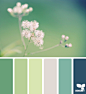 nature palette