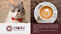 豆猫印记咖啡馆LOGO设计中标图0