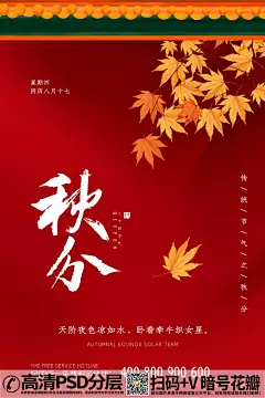 qq282753422秋分节气红枫叶海报