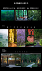 景观概念设计/坐忘森林 - 小红书