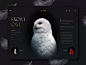 Website about birds by Anna Kapustina for Gotoinc on Dribbble
