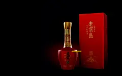 重庆老宗医酒业养生酒包装设计,白酒包装设计,瓶形设计-古田路9号-品牌创意/版权保护平台