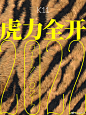 【k11】