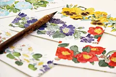 一些花-小太阳阿昕_水彩,手绘,花卉,清新,插画_涂鸦王国插画