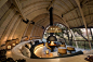 Sandibe-Safari-Lodge_Michaelis-Boyd_photo-credit-Dook_003_lores