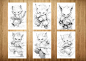 25 Cute Cool Kung Fu Cats Animals Coloring Page Kids Adults image 5