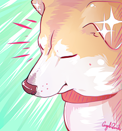 JHmYtCNR采集到柴犬