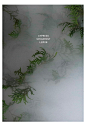 tamburins 空间香氛912薄荷柠檬松柏持久清新韩国官方正品250ml-tmall.hk天猫国际