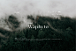 Waphyto_英文