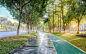 科学城核心区道路及绿化景观升级改造工程