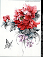 手绘高清植物花卉图片素材的搜索结果_360图片搜索