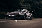 Fat 911 GT3, Rain Prisk : Fat 911 GT3 by Rain Prisk on ArtStation.