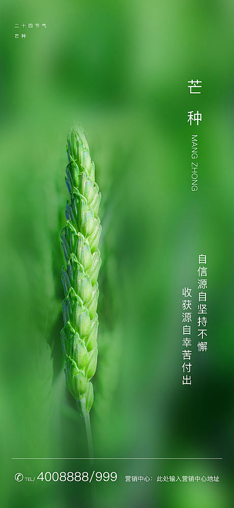 【源文件下载】 海报 房地产 二十四节气...