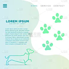 模板,动物,背景,书页,图标,壁纸,蜘蛛网,可爱的,背景分离