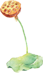 斗鱼七夕情人节
