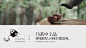 鲸鱼文创 / 邵武碎铜茶设计-古田路9号-品牌创意/版权保护平台