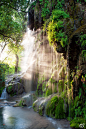 Gorman Falls，德州一个小小州立公园Colorado Bend State Park里最有名的小景。此番去Austin开会，偷得半日闲天没亮就开到这里，赶早上第一缕阳光。刚刚跃过河对岸山丘的太阳把光穿过林木倾洒在瀑布的水帘上，织出一张亦真亦幻的网。