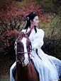女明星骑马装