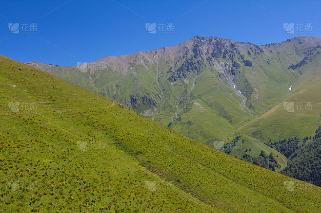 绿山场景