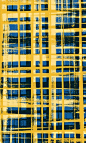 Blue and yellow hand painted and digital brushstroke pattern - Sarah Bagshaw: