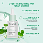 Focalskin Jeju Island South Korea Centella Asiatica Ampoule Serum 30ml | Shopee Philippines