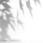 T230811219184+AI贴纸（其他）6