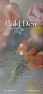 寒露节气单图-志设网-zs9.com