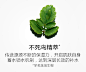 娇韵诗焕采保湿SOS面膜75ml滋养焕活保湿舒缓-tmall.com天猫