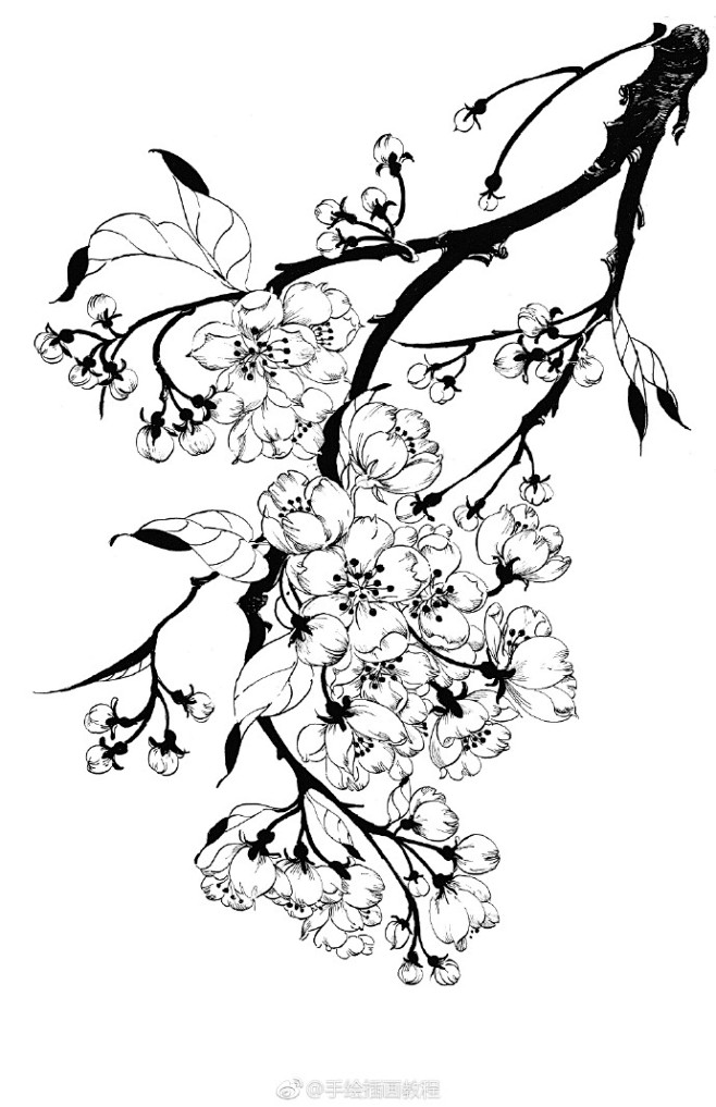 一组线稿作品本文摘自线语集唯美线稿插画实例教程具体画法见书子仪