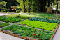 伲相城人的“美丽庭院”“美丽菜园”，真格灵！_腾讯新闻