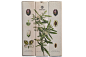 Estepa Virgen. Extra Virgin Olive oil packaging design on Behance