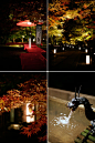 Nordljus: Late Autumn Snaps from Japan