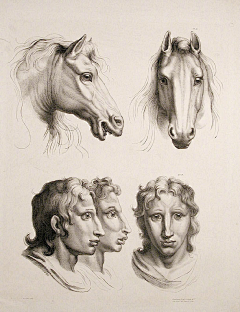医学插画师动画师阿杜采集到角色设计-人物插画