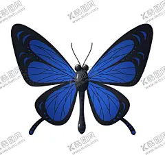 蓝色蝴蝶插画 【酷图网】插画,手绘昆虫,矢量蝴蝶,水彩画蝴蝶,蝴蝶插画素材,蝴蝶素材,卡通蝴蝶素材,蝴蝶分层素材,红蝴蝶,装饰画,装饰素材,蝴蝶觅食,蝴蝶插画,卡通蝴蝶,蝴蝶线稿,蝴蝶卡通画,蝴蝶简笔画,花朵蝴蝶,彩色蝴蝶,马卡龙,插画蝴蝶,蝴蝶元素,手绘蝴蝶,可爱蝴蝶,蝴蝶