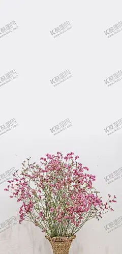 手机壁纸 【酷图网】手机壁纸,壁纸,插画小清新,文艺,鲜花,花朵