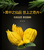 手鲜果插花带枝佛手柑水养食用清供观赏把玩小佛手-tmall.com天猫