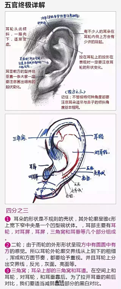 彡包子灬采集到五官