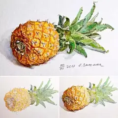 水彩---教程 - 高清图片，堆糖，美图壁纸兴趣社区
