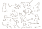 #绘画教程# #参考# 喵&汪星人的画法和动态参考~记住猫和狗的肉爪上是没有大拇指哒~~