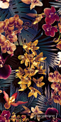 Walter Spina | Estampa Tropical Orchid (Dark version) Society6: 