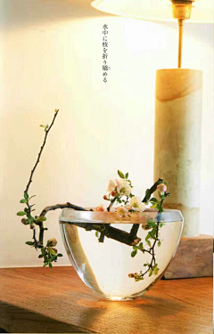 心在东方采集到【心在东方】花道