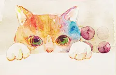 水与​猫 ps照片变插画 水彩画网站