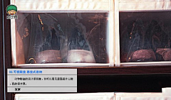 Yangqiyong2009采集到肉丁网DIY