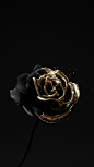 Roses Are Dead – Vol. 4 “Black and Gold” : 3d renders in black and gold materials. Bleeding heart, oozing skull, and a lackluster rose. Created in Cinema 4D, rendered in Octane. Designed by Matthew Encina.