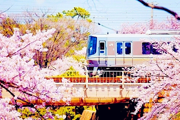 开往春天的列车